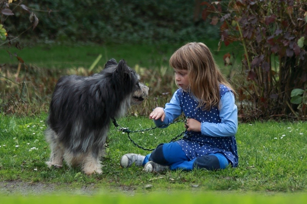 Hundetraining und Kurse Kids &amp; Dogs Schaumburg